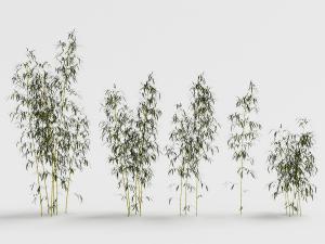 五处园林景观竹子