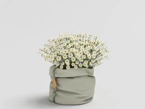 装在布包里的白色雏菊花瓶花卉