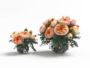 圆肚形玻璃花瓶山茶花花瓶花卉