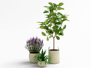 北欧草编花盆盆栽植物