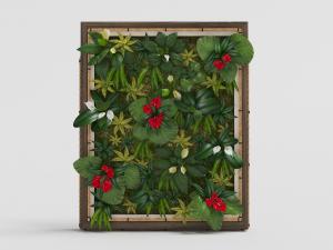 带有实木边框的方形现代植物墙