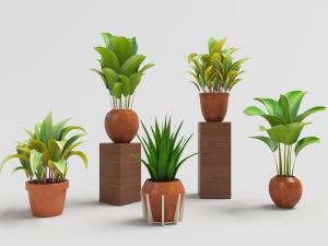 芦荟、绿萝多盆盆栽绿色植物