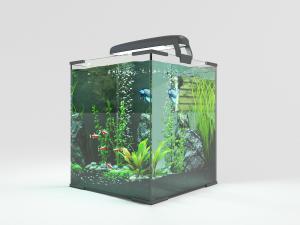 热带鱼、水草和石头的方形鱼缸水族