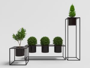 摆放在黑色金属架上的绿色盆栽植物