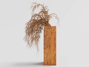 种在实木长方形花盆里的盆栽植物