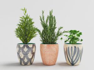 带有图案的陶瓷花盆植物盆栽