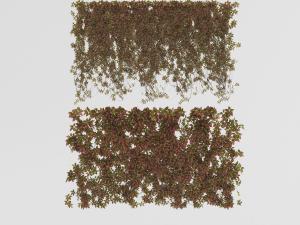 带有红色花边的叶子藤蔓植物墙