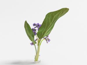 透明玻璃杯里的紫色花卉