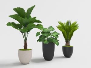 北欧室内装饰陶瓷花盆盆栽植物