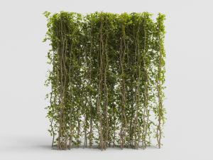 向上攀爬的长方形藤蔓植物墙