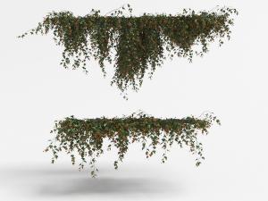 开满红色碎花的藤蔓植物