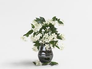 插满白色花朵的黑色花瓶花卉