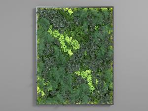 黑色细边框长方形植物墙