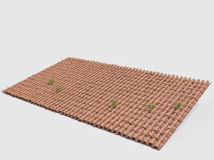 中式古建筑瓦片房顶