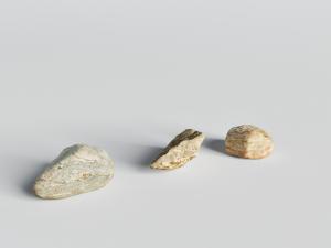 带有自然纹理不规则形的石头