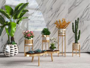 北欧金属花架和装饰金属的陶瓷花盆盆栽植物