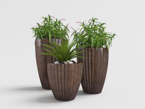 种在陶瓷花盆里的花草盆栽植物