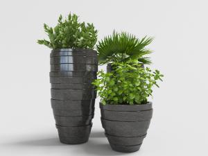 扇状绿叶植物黑色套叠层花纹花盆盆栽