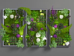 装饰有白色玫瑰花的植物墙