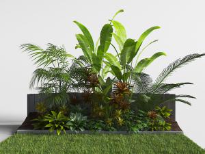 带有草坪、种植在花坛里的植物花草