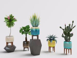 北欧仙人掌、凤尾竹绿色植物盆栽