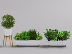 带有实木支架的长方形白色陶瓷花盆盆栽