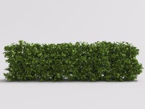 一行方形绿色植物灌木丛