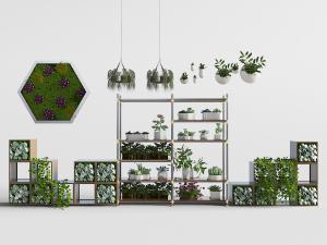 放在花架上的绿色盆栽植物和六边形植物墙