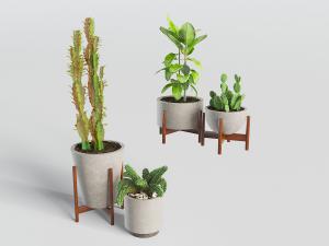 花架上水泥花盆的绿色盆栽植物