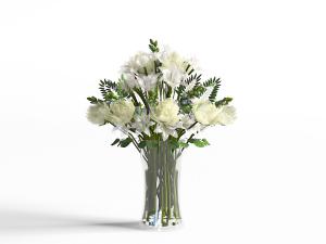 透明玻璃花瓶白色茶花花瓶花卉