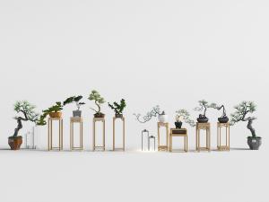 中式带有花架的松树盆景盆栽