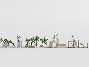 新中式植物盆景盆栽、饰品摆件