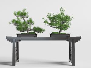 中式黑色雕花端景台、松树盆景盆栽3d模型 中式黑色雕花端景台、松树盆景盆栽