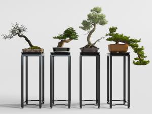 中式黑色方形四盆盆景盆栽