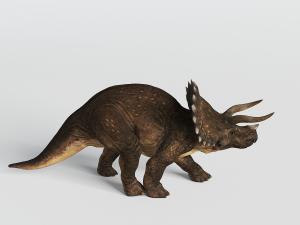 深咖啡色的恐龙动物