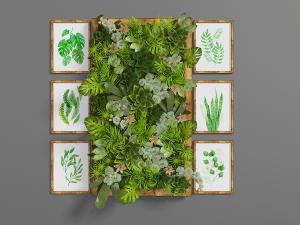 实木长方形植物装饰画、植物墙
