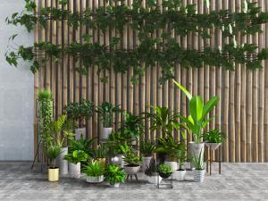 北欧多盆陶瓷大叶植物盆景盆栽