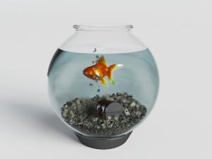 球形玻璃小鱼缸、金鱼