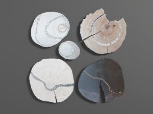 现代树桩墙面装饰挂件