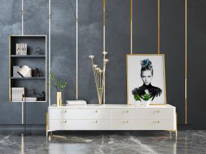 现代带有金色纽扣拉手的装饰柜、玄关柜