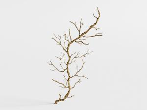 没有树叶的干枯树干