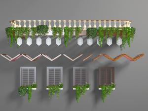 放在窗台、阳台的藤蔓垂吊盆景盆栽