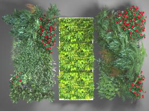 长方形墙面植物墙