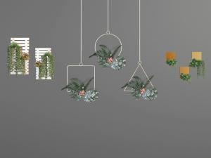 墙面、顶部吊篮植物