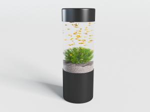 现代圆形金色鱼群的水族鱼缸