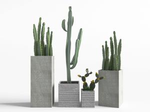 现代水泥花盆盆栽仙人棒植物