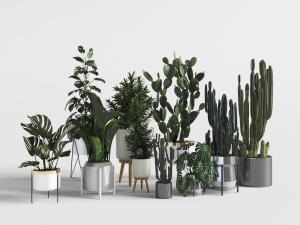 北欧花架花盆盆栽植物