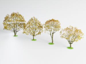 几棵秋天的道旁树木