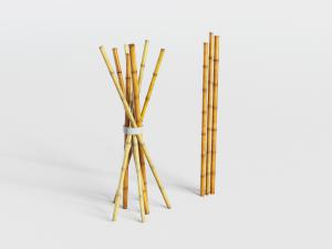 捆在一起的竹竿