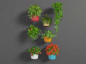 藤编花盆藤蔓花卉的盆景盆栽